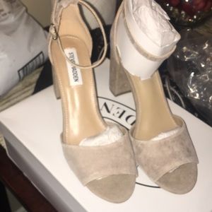 Women’s 6.5 Steve Madden shoes